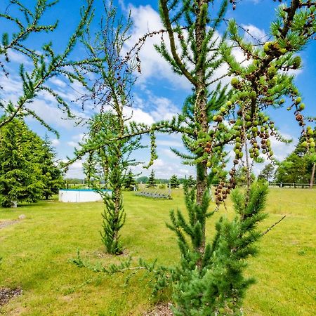 Pension Zum Reiterhof Schmogrow Экстерьер фото