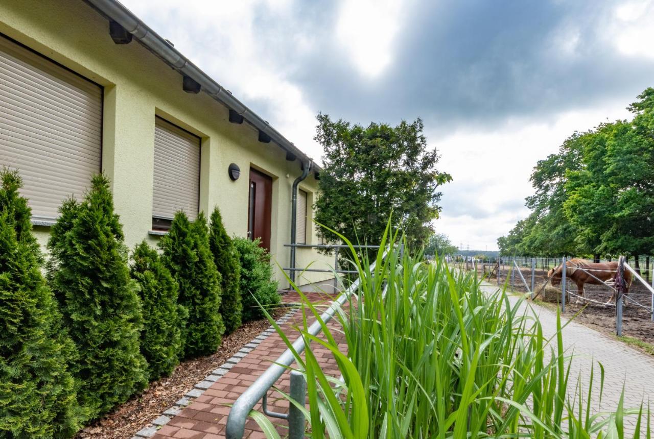 Pension Zum Reiterhof Schmogrow Экстерьер фото